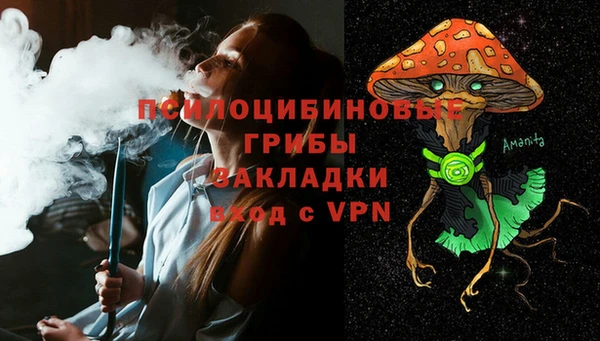 ПСИЛОЦИБИНОВЫЕ ГРИБЫ Белоозёрский
