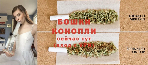 ПСИЛОЦИБИНОВЫЕ ГРИБЫ Белоозёрский