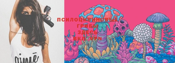 ПСИЛОЦИБИНОВЫЕ ГРИБЫ Белоозёрский