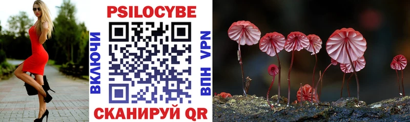 Псилоцибиновые грибы прущие грибы  Купить закладки  Надым 